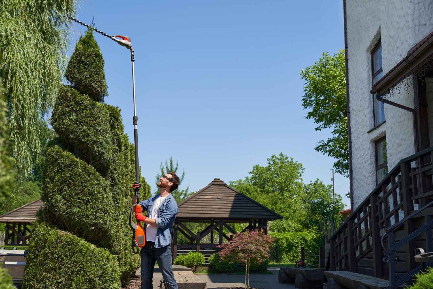 Best Palm Tree Trimming  in Farngton, MI